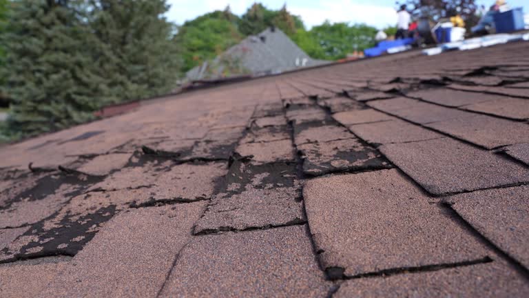 Best Cold Roofs  in Williamston, SC