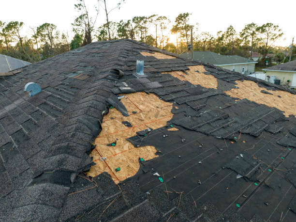 Best Gutter Installation and Repair  in Williamston, SC