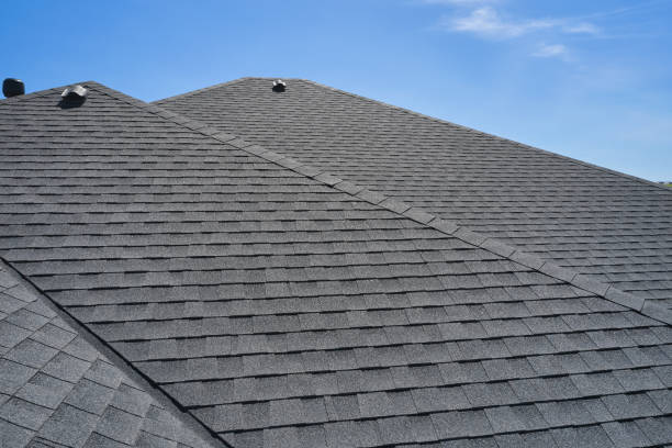 Best Sheet Metal Roofing  in Williamston, SC