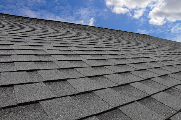 Best Asphalt Shingle Roofing  in Williamston, SC